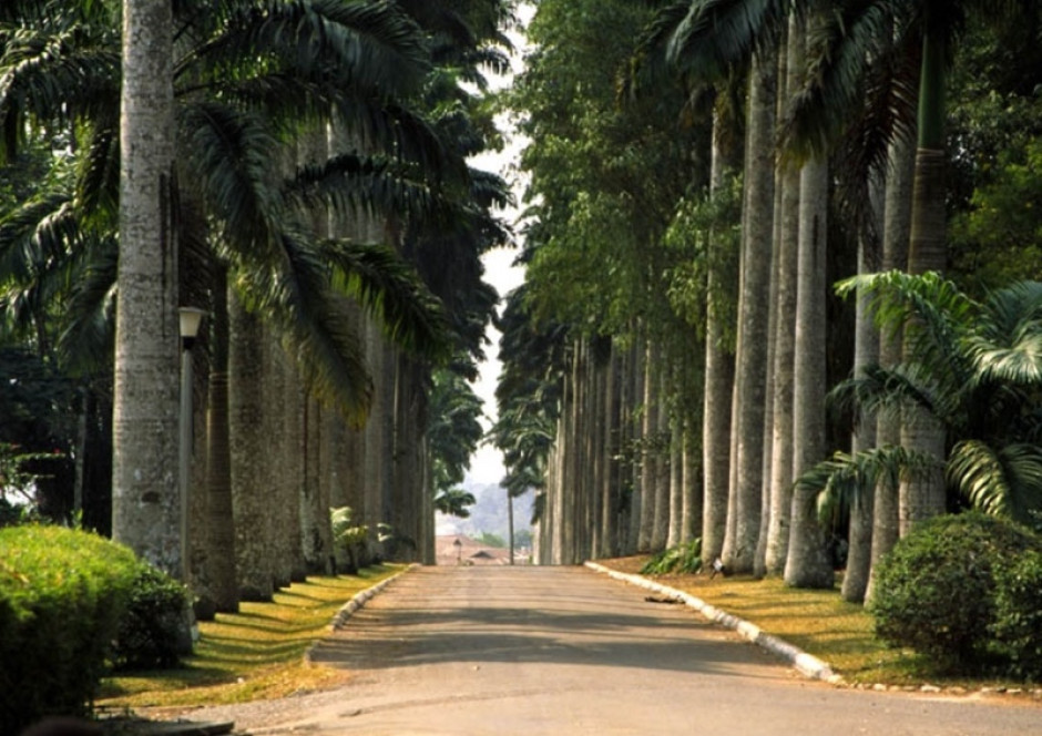 Aburi gardens