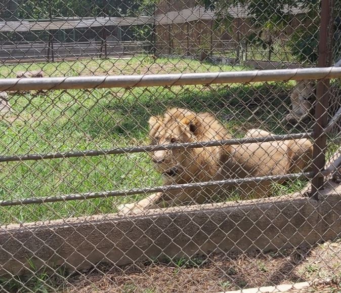 Kumasi Zoo