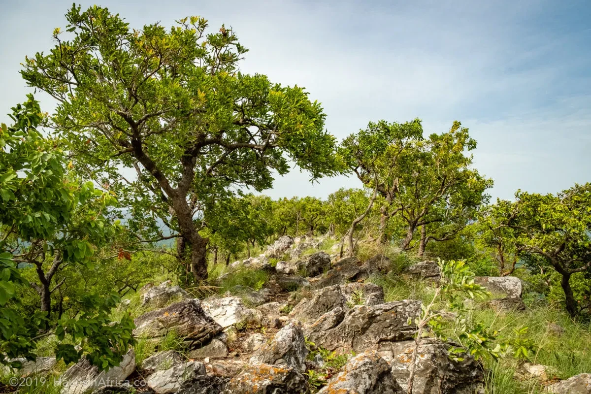 Kyabobo National Park