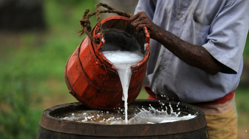 Palm Wine