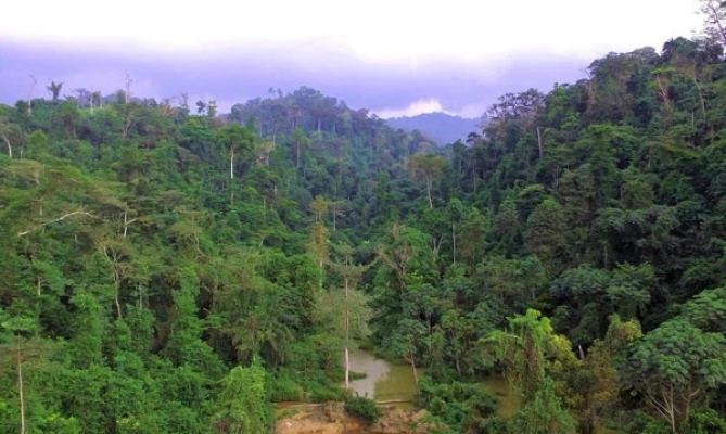 Achimota Forest Reserve