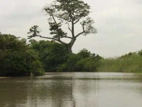 avu lagoon