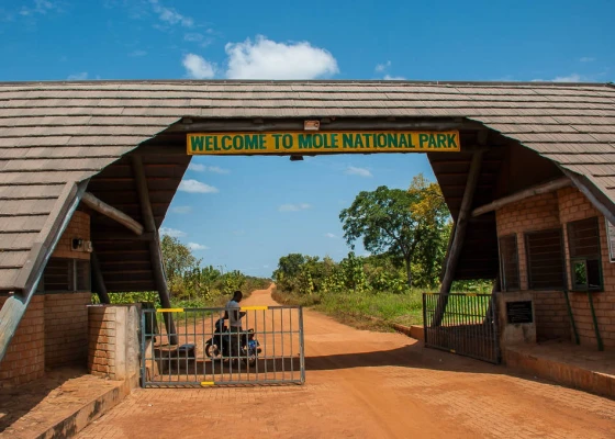 Mole National Park entrance