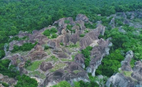 Sacred Grove of Tano