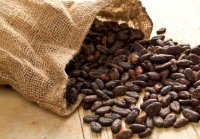 quality-cocoa-beans.jpg