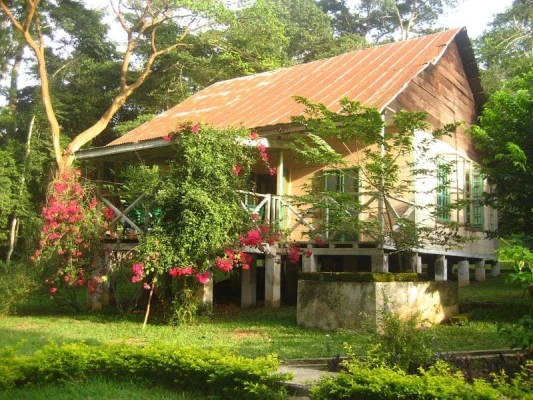 bobiri butterfly sanctuary