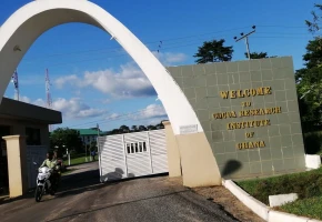 Cocoa Research Institute of Ghana (CRIG