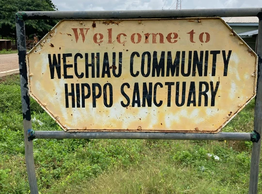 Wechiau Hippo Sanctuary