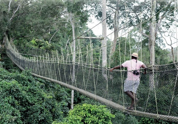 Exploring the enchanting Kakum National Park: A pristine tropical paradise 
