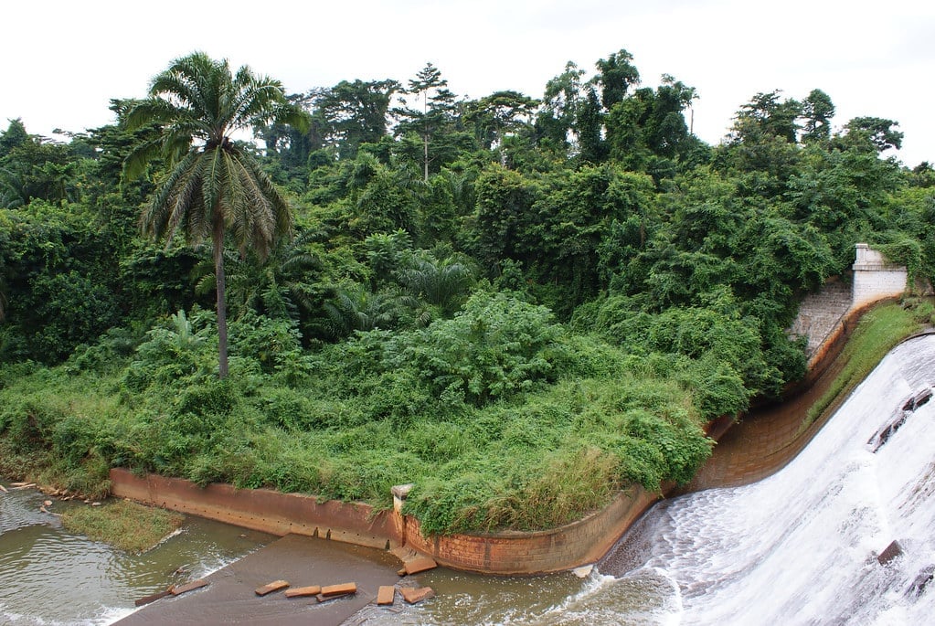 Owabi Wildlife Sanctuary: A haven for birds and nature enthusiasts in Kumasi